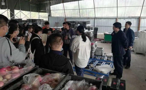 校地合作謀振興 河北科技大學(xué)電商專業(yè)與李保國(guó)干部學(xué)院共促漿水蘋果產(chǎn)業(yè)升級(jí)