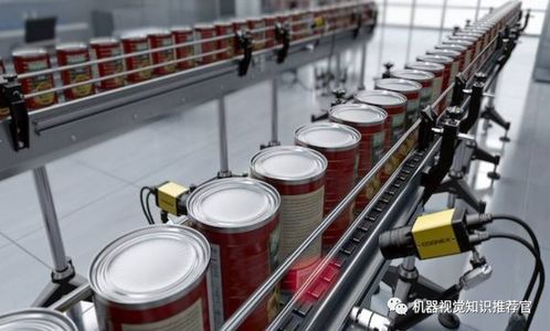 機(jī)器視覺在食品安全檢測領(lǐng)域的應(yīng)用與展望 技術(shù)服務(wù)與技術(shù)轉(zhuǎn)讓的雙重驅(qū)動